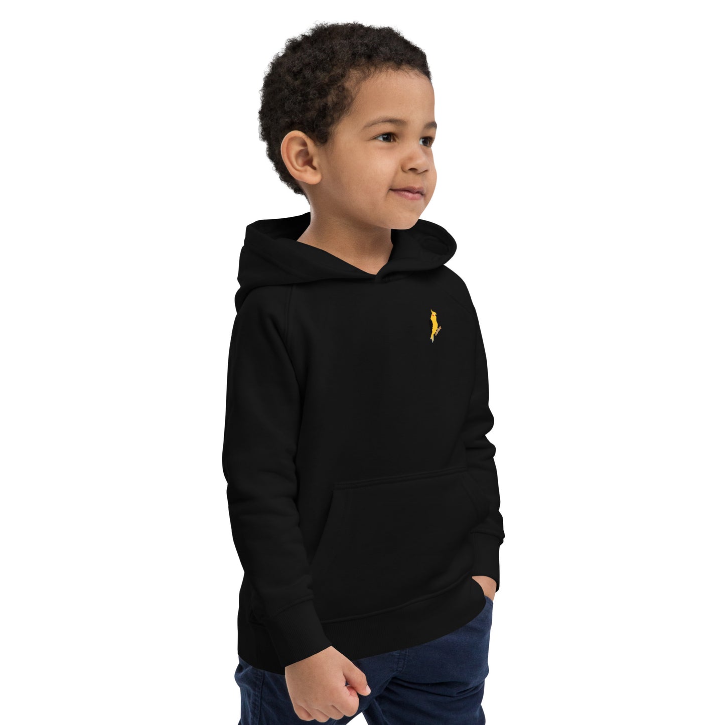 Kids eco hoodie